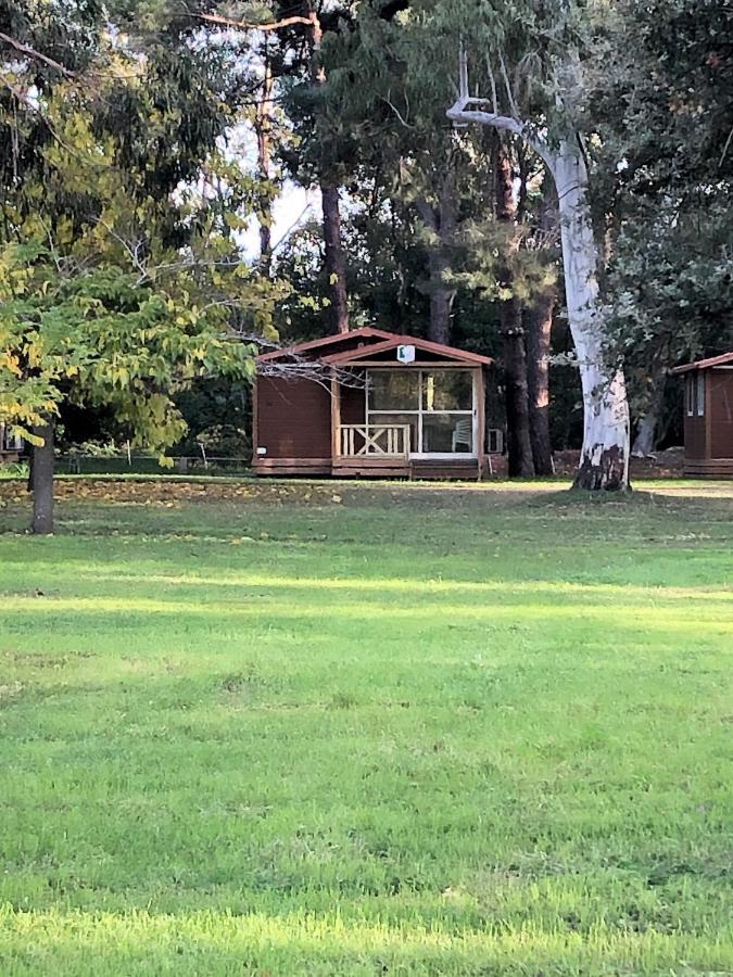 Camping L'Oso Porto-Vecchio  Exterior foto