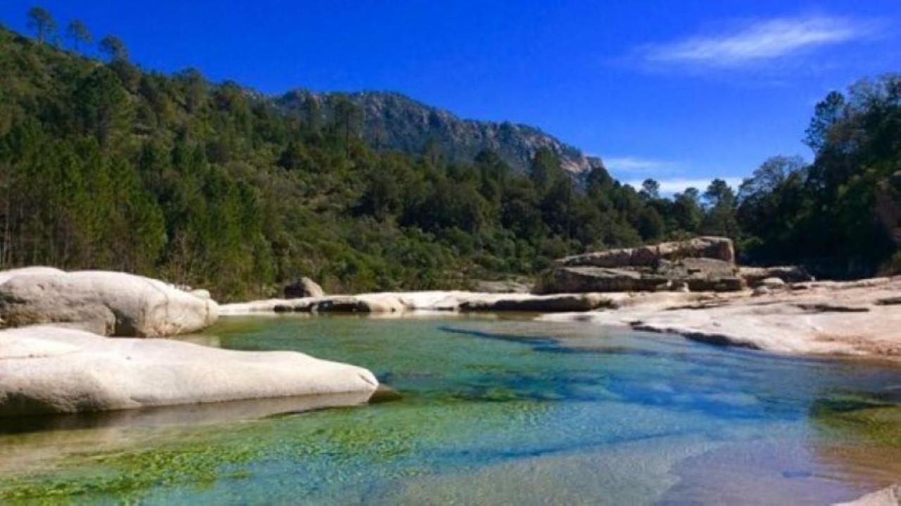 Camping L'Oso Porto-Vecchio  Exterior foto
